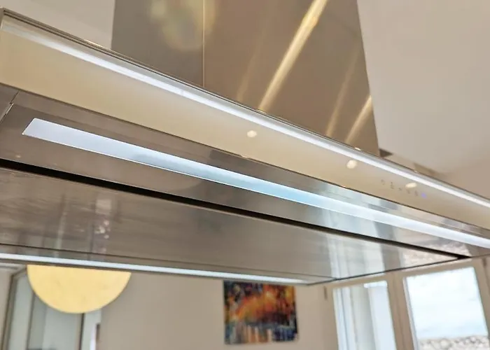 Carolina فيدينسا